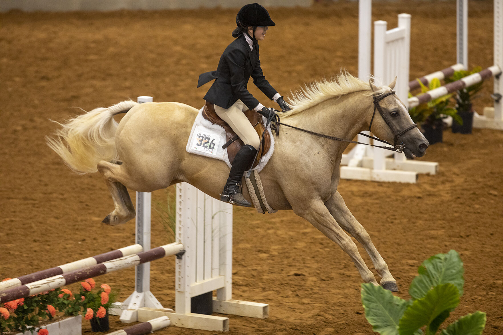 4-H horse show